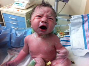 Molly - angry about the cut on her face